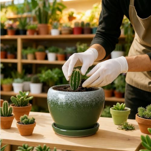 6 Inch Plant Pots (Blackish Green / 6 Inch)