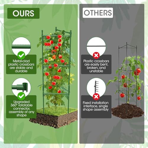 6 Pack Tomato Cage (6 pack)