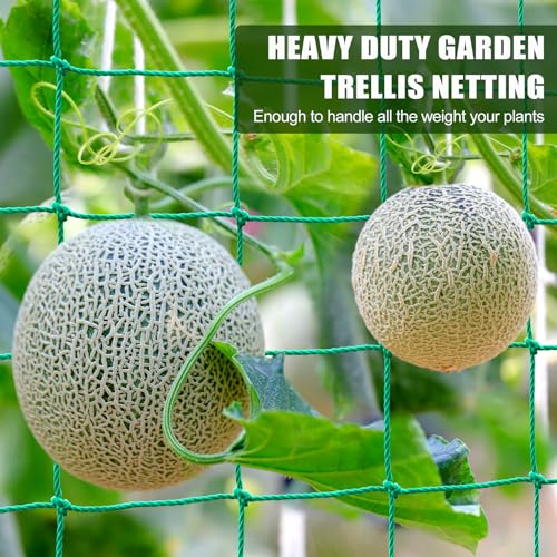 Trellis Netting for Climbing Plants