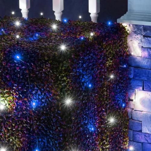 Solar Fairy Lights Outdoor Waterproof (Blue and White)