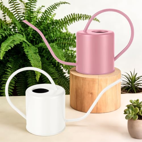 Plant Watering Can (Pink)