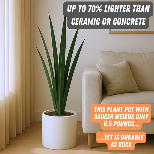 Large Planter for Indoor or Outdoor (Matte White With Saucer / 10 Inch)