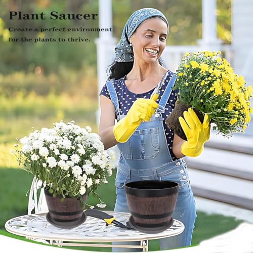 6 Pack of 10 inch Plant Saucer (10" (6 pack) / Brown)