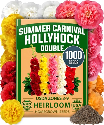 Hollyhock Seeds
