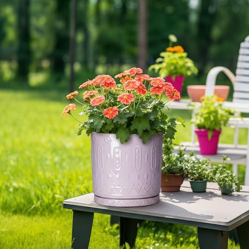 Plant Plates to Catch Water (9.3 Inch / Purple)