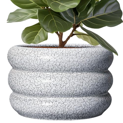 Ceramic Plant Pots