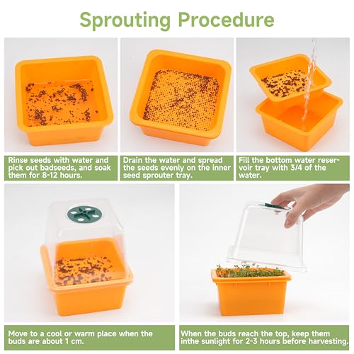 Microgreen Growing Trays (6 Pack-colorful Base)