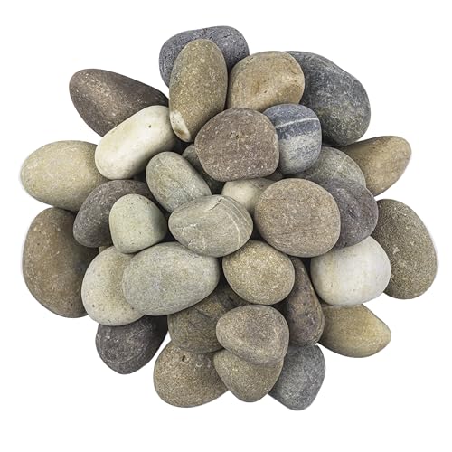 Multicolor Polished Decorative Pebbles Landscape Stone 40 lb (1 inch - 2.5 inch)
