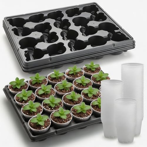 3 Inch Clear Nursery Pots 100 Pcs with 5 Pcs 20 Cell Potting Trays (Clear / 3 Inch Clear Pots 100 Pack with 5 Pack Trays)