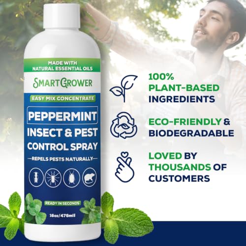 Peppermint Oil Spray for Rodents (16 Fl Oz (Pack of 1))