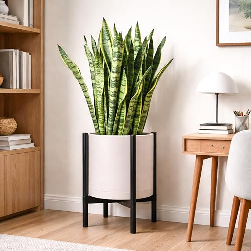 Plastic Pot with Ebony Wood Stand (Oatmeal Pot + Ebony Stand / 16 Inch)