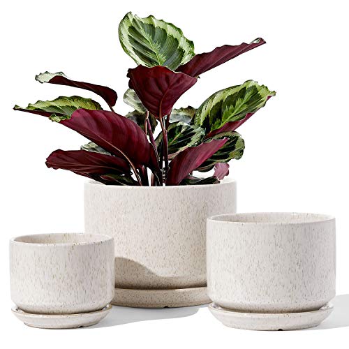 Ceramic Pots for Plants (3 Count)