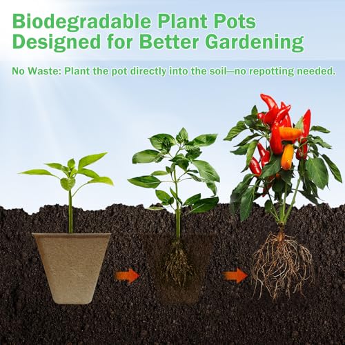 Peat Pots 165 Pack 3.15 Inch Seed Starter Pots for Seedlings (165 Pcs)