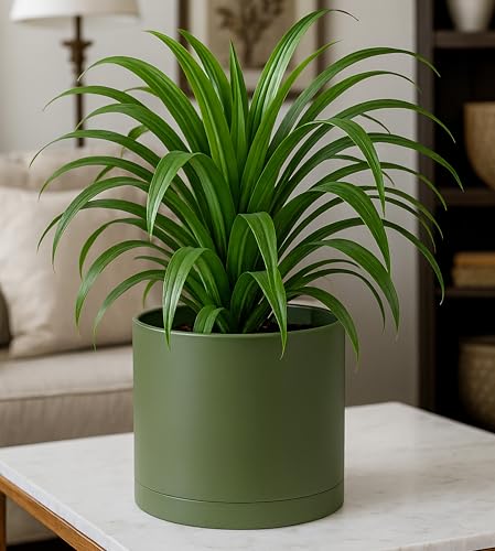 Plastic Planter Pot with Saucer (8 Inch / Olive)