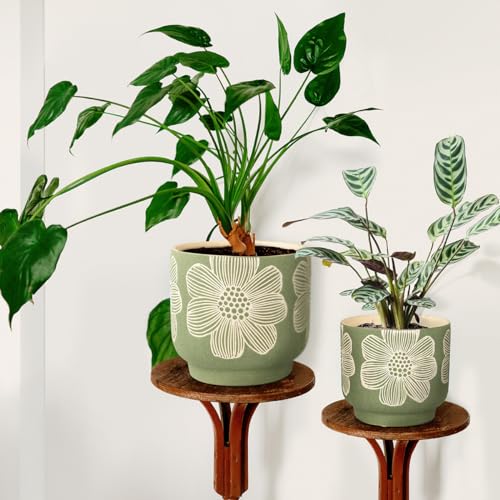 Ceramic Plant Pots (8+6 Inch / Modern Green Floral)
