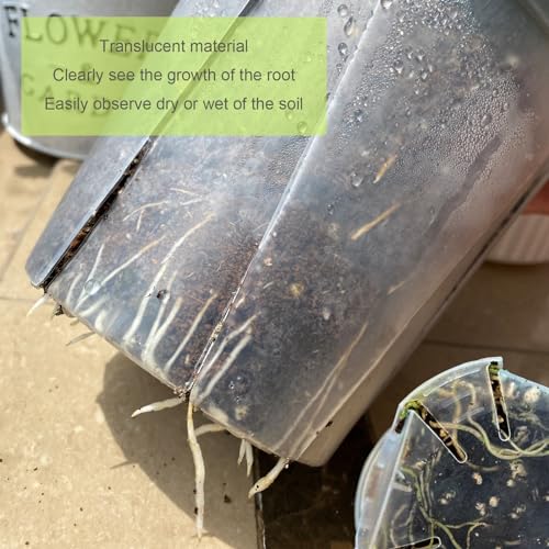 Large Clear Nursery Pot with Drainage Holes 7 (7/8/9.5/12inch without trays)