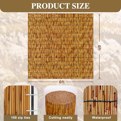 Reed Fencing Rolls (6×6FT / Brown)