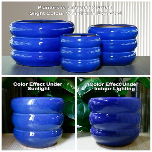 Ceramic Plant Pot