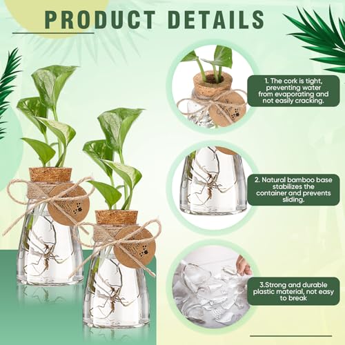 48 Pack 3.35'' Plastic Plant Propagation Stations with Hole Lid Planter Vase Clear Propagation Jars with Thank You Tags for Plant Lover Gifts for Women Office Home Garden (48 Count)