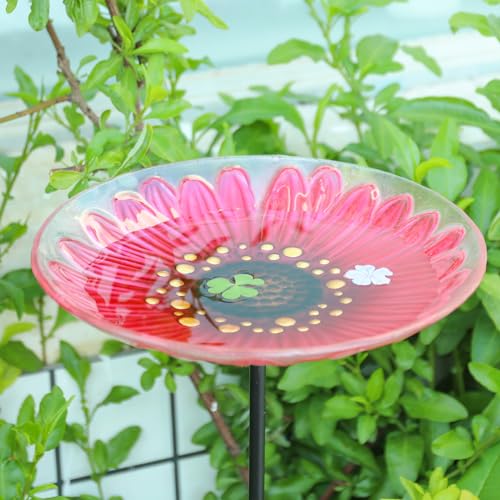 Glass Bird Bath (Flower)