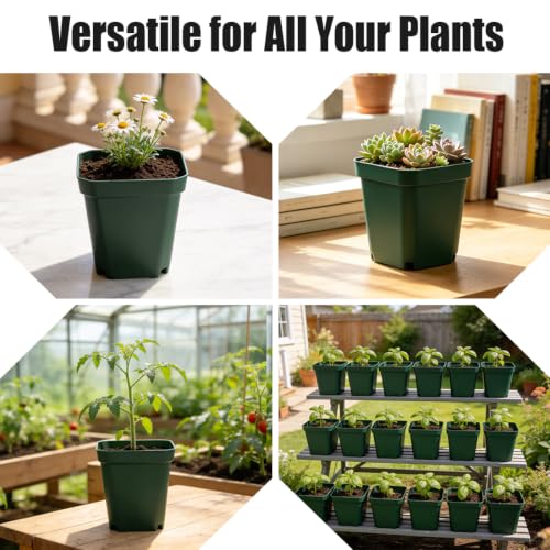 2.75 Inch Square Nursery Pots with Drainage Holes for Plants (Green-120p / 2.7" 120P)