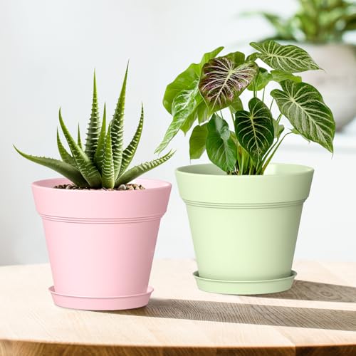 5 Inch Plastic Plant Pots with Drainage Holes and Trays (6 Count)