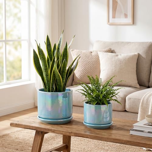 Ceramic Planter 4+5+6 Inch Ceramic Flower pots for Indoor Plants with Drainage (Sky Blue)