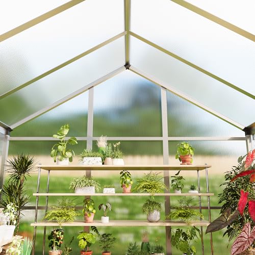 6 x 6 FT Greenhouse (Silver / 6x6FT)
