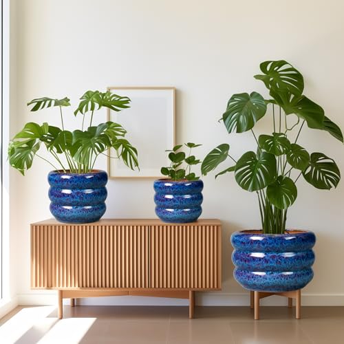 Ceramic Pot for Plants