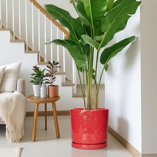 11.4 Inch Plant Saucers for Indoors (11.4 Inch / Red)