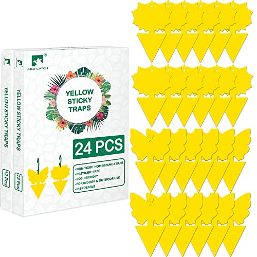Fruit Fly Sticky Trap 24 Pack (24 Pack)