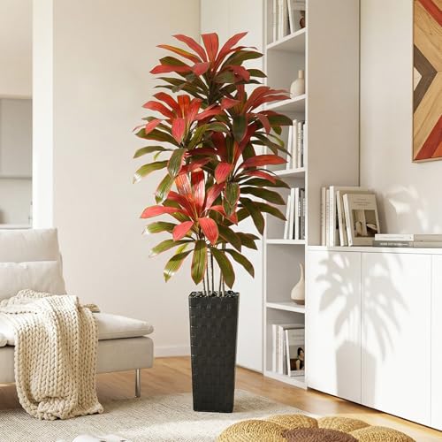 Artificial Dracaena Tree (Burgundy – Black Pot / 7FT)