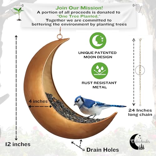 Hanging Moon Bird Feeder