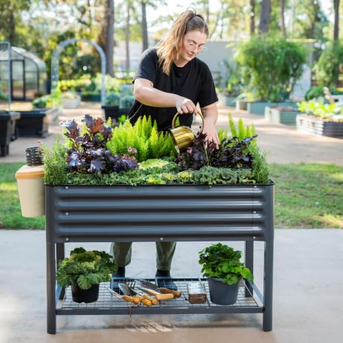 Elevated Raised Garden Bed