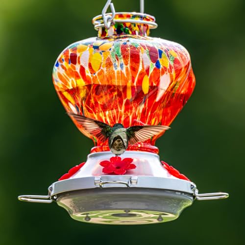 Hummingbird Feeder for Outdoors with Ant Moat