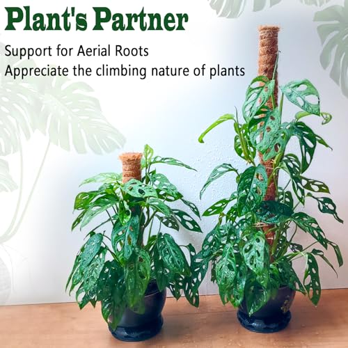 2 Pack 17 Inch Moss Pole (2 Count)