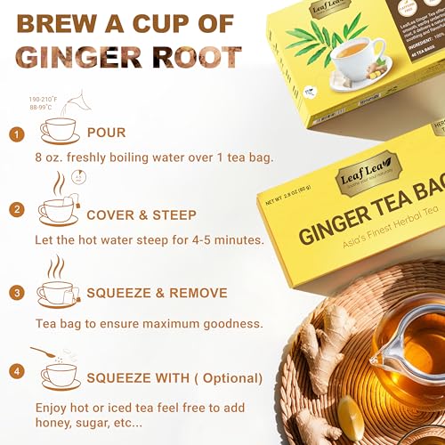 Ginger Tea Bags (160 Count)