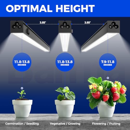 T5 Grow Lights (White / 1FT-Black Cover)
