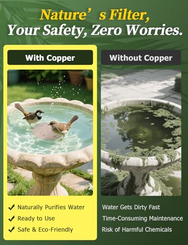 Bird Bath Copper Disc & Clean Set (Copper Clean Set)
