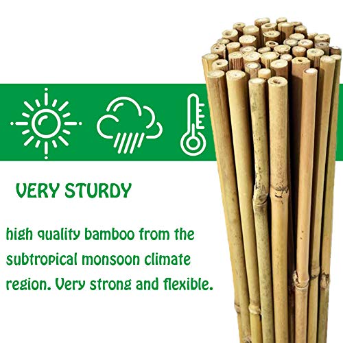 Natural Bamboo Stakes 57 Inch (20 Count)