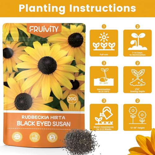 48000+ Black Eyed Susan Seeds for Planting