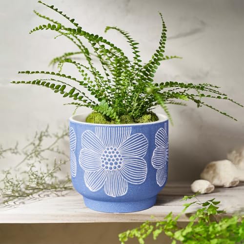 Ceramic Plant Pots (8+6 Inch / Modern Matte Blue Floral)