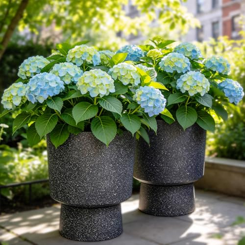 Autodaya 16.8" Urn (16.8"h-black Terrazzo)