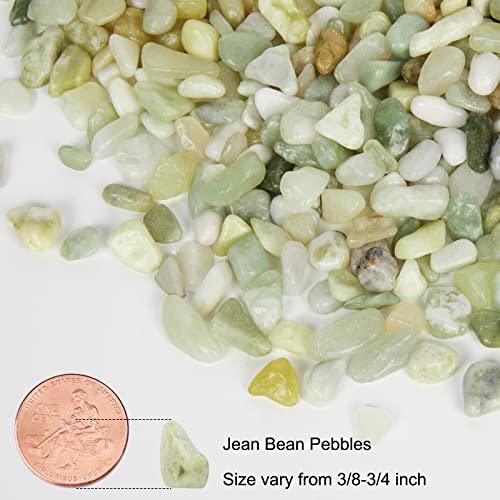 5 Pound Pebbles for Indoor Plants (Jade / 5 Pounds)