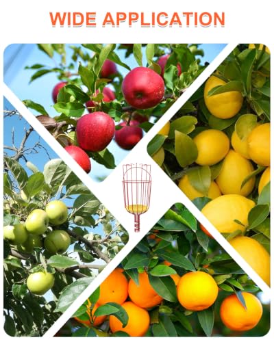 30ft High Reach Fruit Picker with Basket Telescoping (24FT)