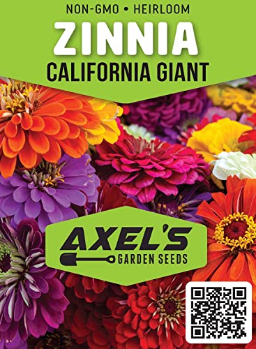 Zinnia Seeds for Planting