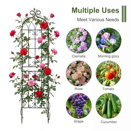 2.2M（86.7" H x 19.7" W） Black Iron Garden Trellis for Climbing Plants (4PCS-1)