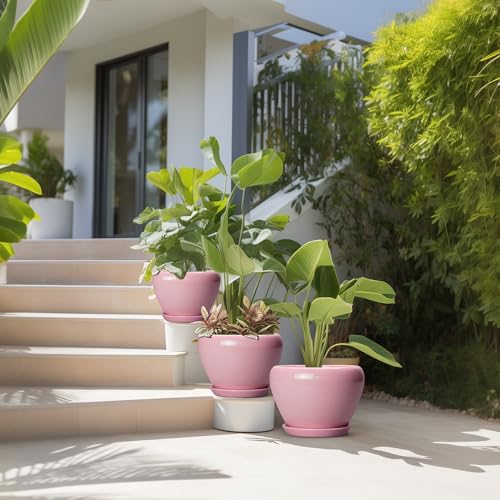 Ceramic Planters (10+8+6 Inch / Pink)