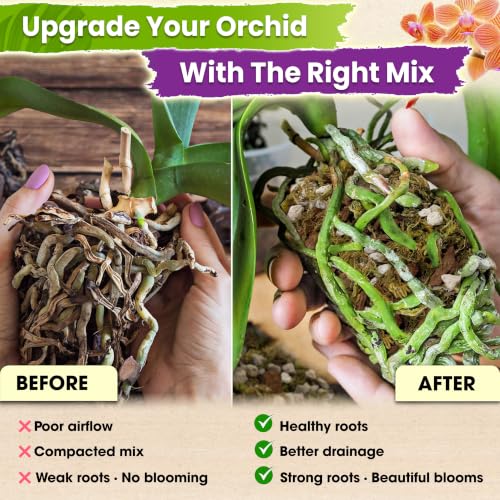 4in1 Orchid Potting Mix For Repotting (Orchid Potting Mix 2 Quarts)