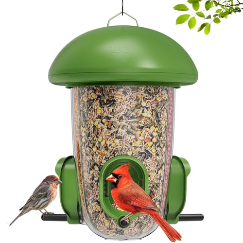 LONA Bird Feeder with 3 Compartments (Green / MAX)